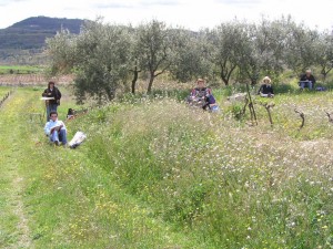 under the olive trees